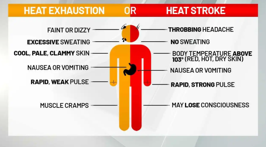 What is Heat Stroke