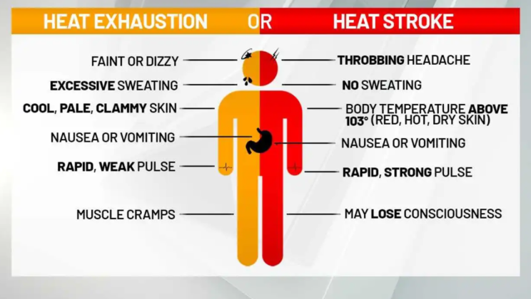 What is Heat Stroke – Latest and Best Research 2022