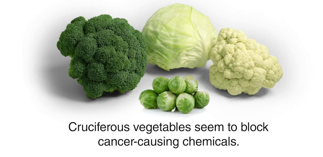 Natural Anticancer Agents – Fruits and Vegetables – Latest Research 2022
